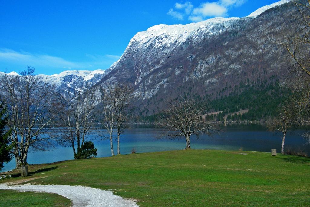 Guest House Alenka Bohinj Exterior photo